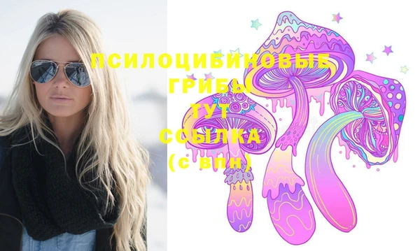 apvp Медногорск