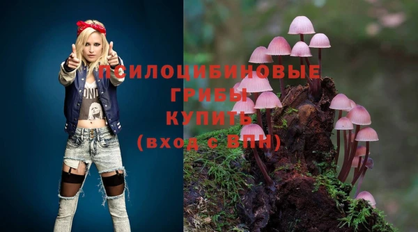 ГАЛЛЮЦИНОГЕННЫЕ ГРИБЫ Медвежьегорск