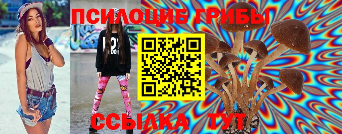 Серпухов  Галлюциногенные грибы ЛСД  Вход с VPN 