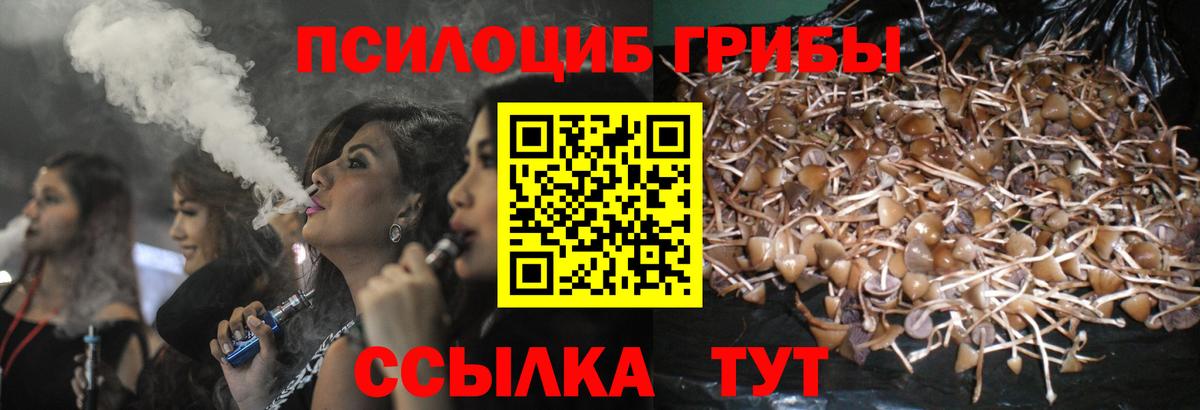 Галлюциногенные грибы Psilocybine cubensis Серпухов