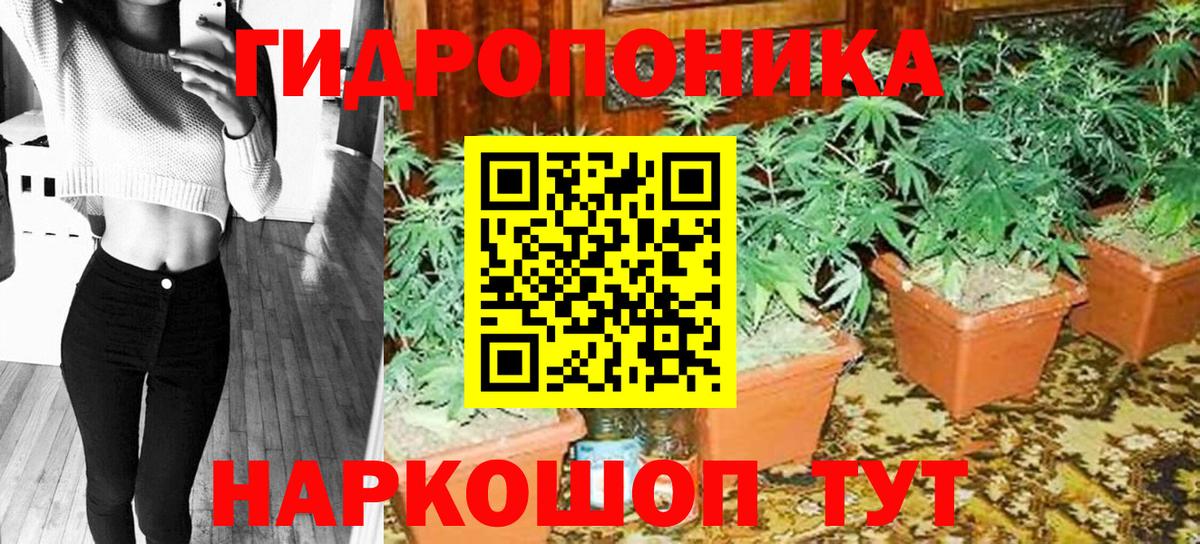 Каннабис Amnesia Серпухов